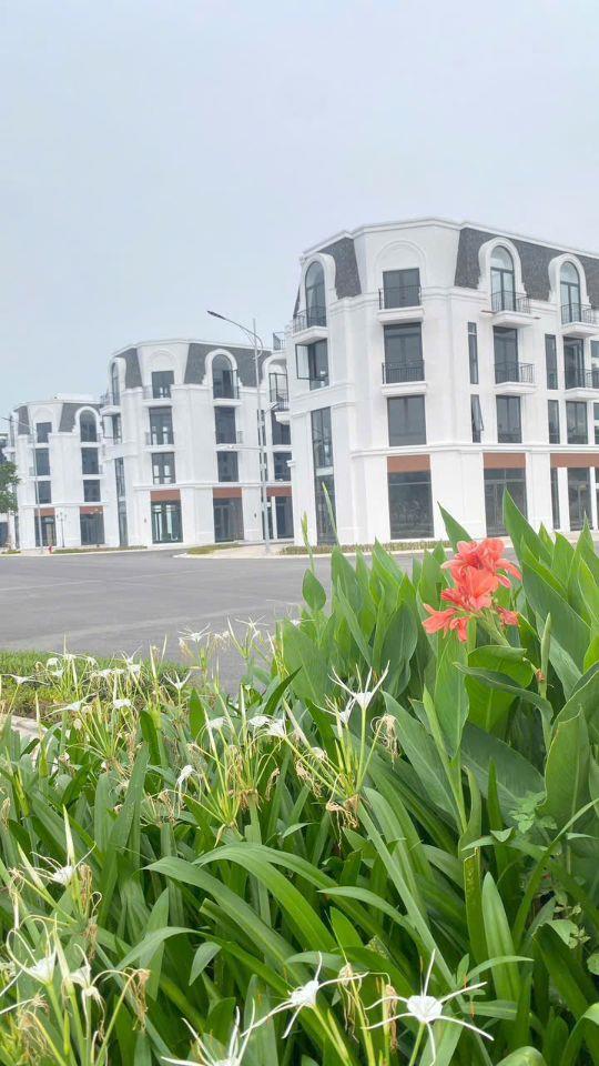Thật không thể tin nổi chỉ 800tr ký ngay hợp đồng mua bán căn hộ 96m2 tại dự án Vlasta