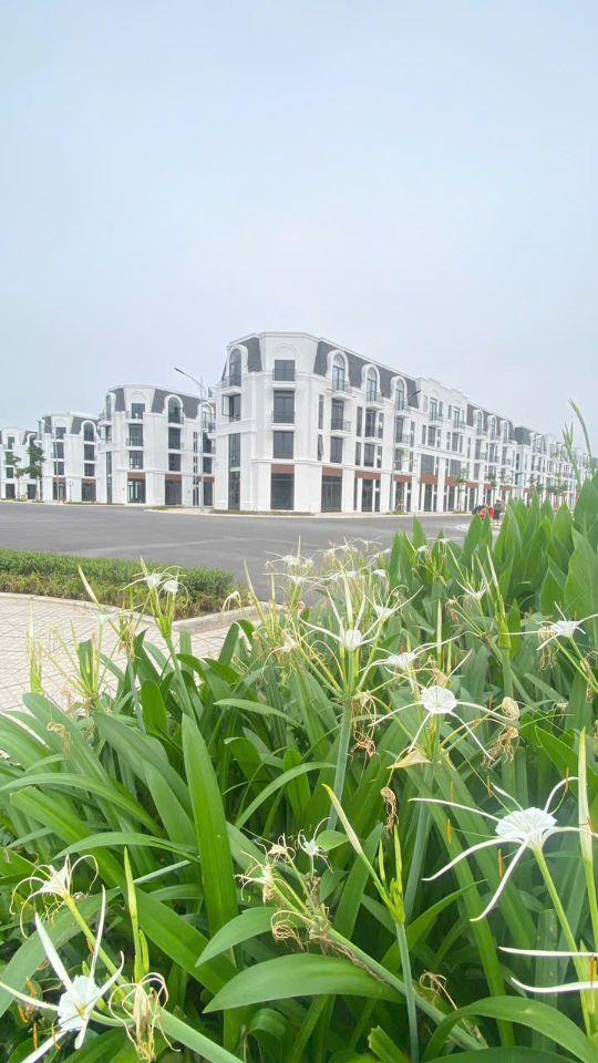 Thật không thể tin nổi chỉ 800tr ký ngay hợp đồng mua bán căn hộ 96m2 tại dự án Vlasta