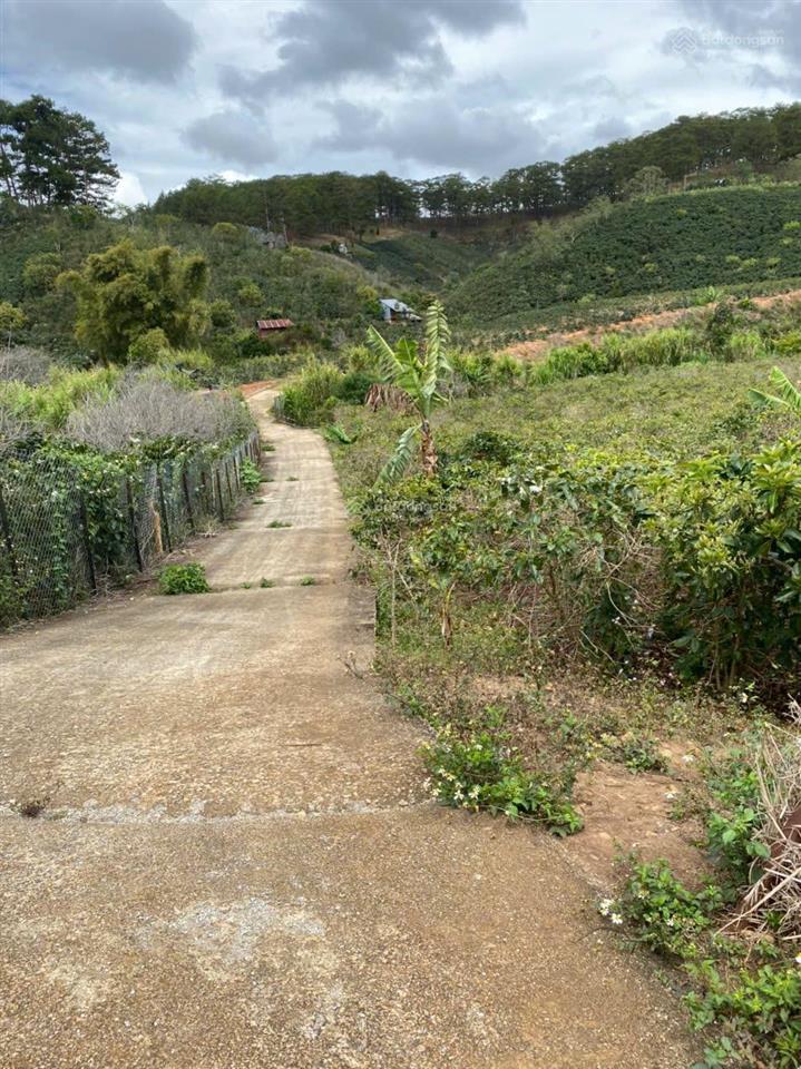 Hạ giá bán lô đất siêu đẹp xuân sơn, xuân trường, đà lạt