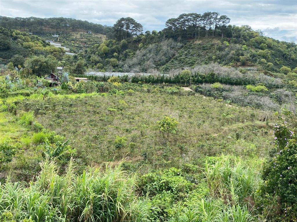 Hạ giá bán lô đất siêu đẹp xuân sơn, xuân trường, đà lạt