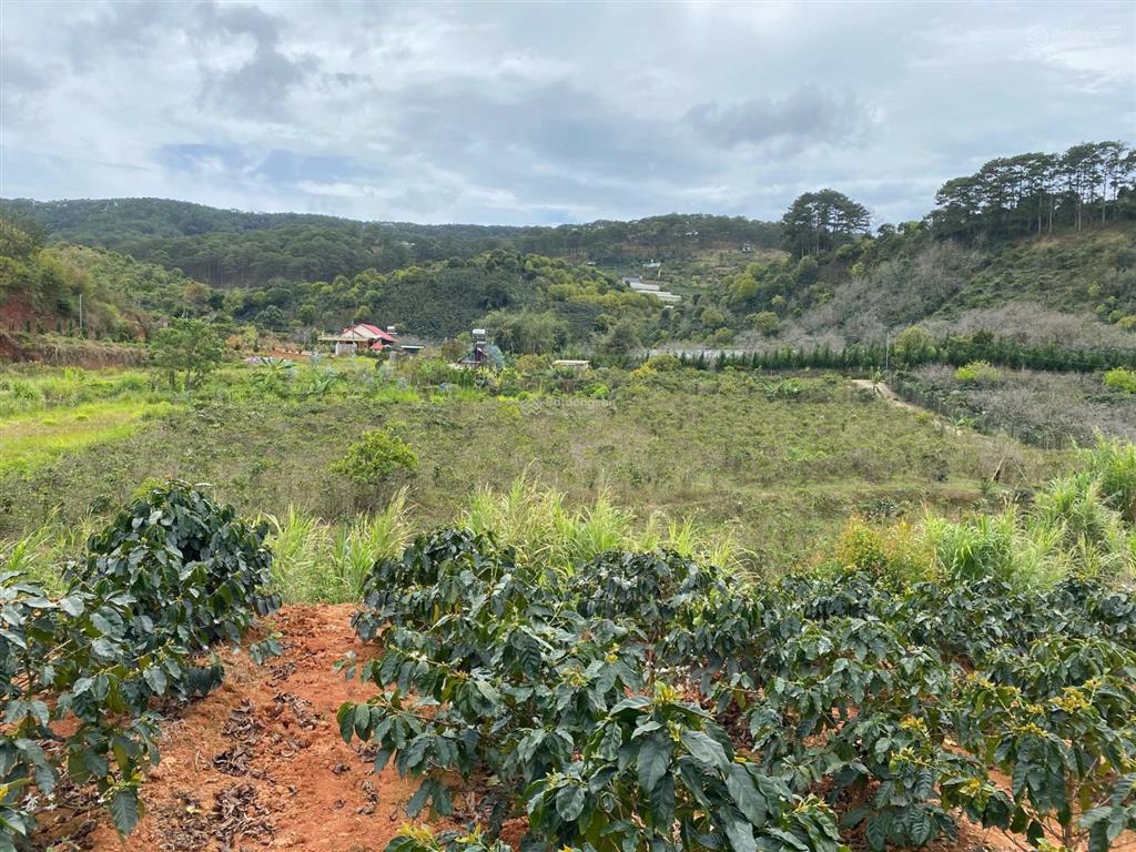 Hạ giá bán lô đất siêu đẹp xuân sơn, xuân trường, đà lạt