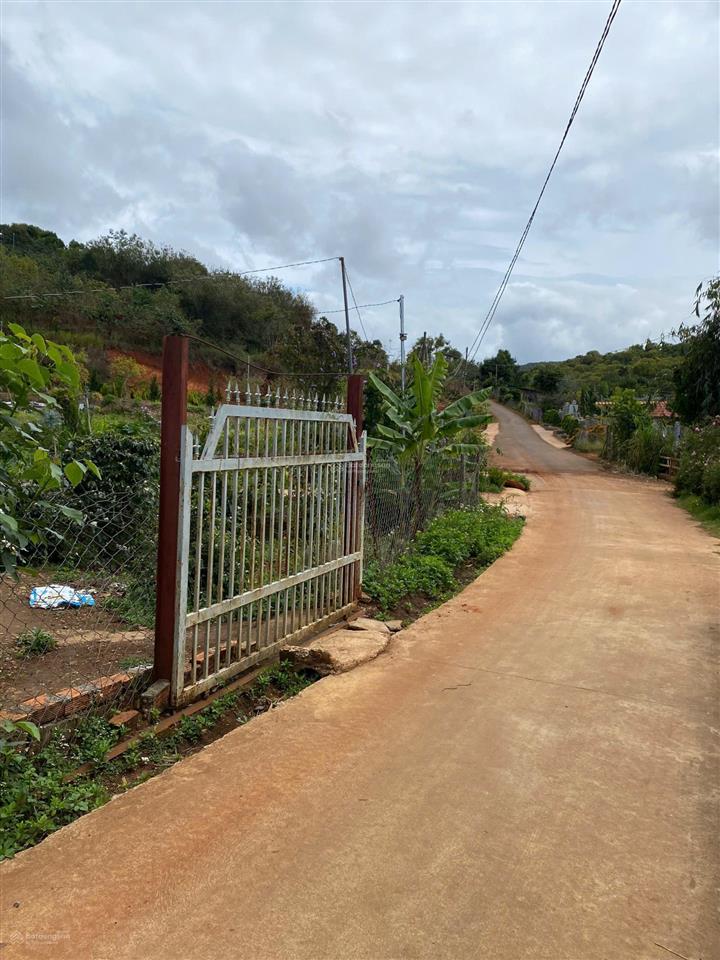 Hạ giá bán lô đất siêu đẹp xuân sơn, xuân trường, đà lạt