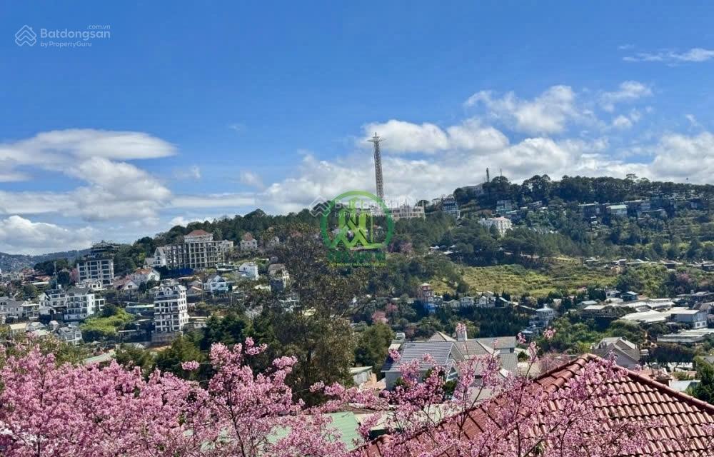 Cần bán 648m2 đất view siêu đẹp khu dic an sơn  đà lạt