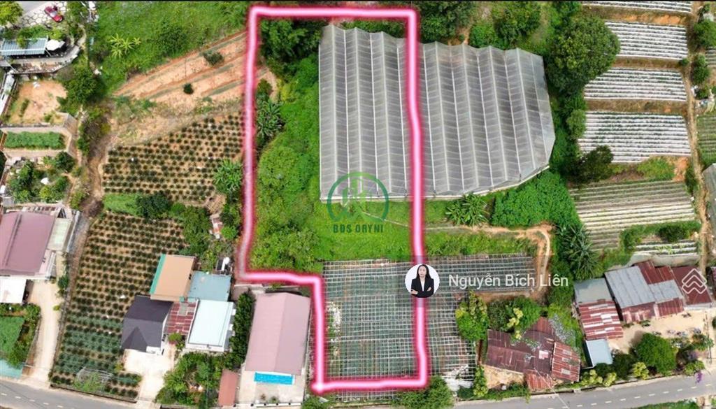 Cần bán hơn 2.000m2 đất đường đa phú, phường langbiang  đà lạt (p7)