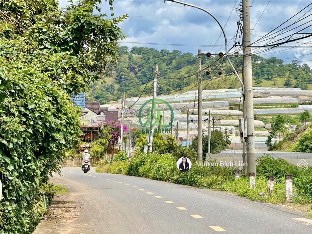 Cần bán hơn 2.000m2 đất đường đa phú, phường langbiang  đà lạt (p7)