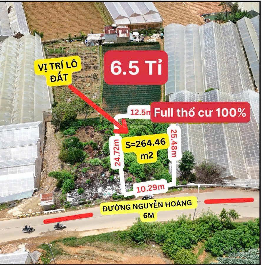 Lô đất mặt tiền đường nguyễn hoàng  đà lạt