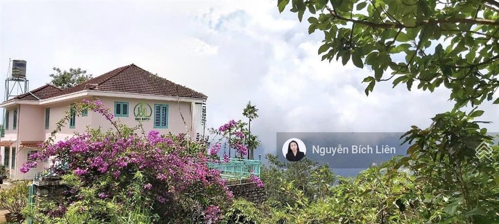 Chính chủ bán biệt thự cổ 2692m2 view săn mây siêu siêu đẹp tại trạm hành  đà lạt
