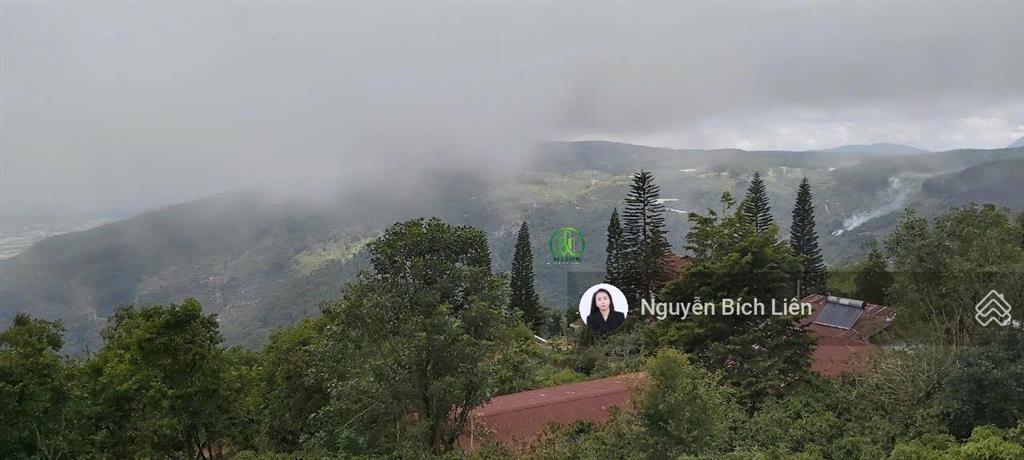 Chính chủ bán biệt thự cổ 2692m2 view săn mây siêu siêu đẹp tại trạm hành  đà lạt