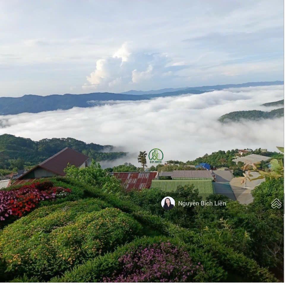 Chính chủ bán biệt thự cổ 2692m2 view săn mây siêu siêu đẹp tại trạm hành  đà lạt