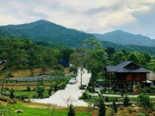 Bán đất nghỉ dưỡng view suối diện tích 1353m2 nằm giáp trục vành đai 5