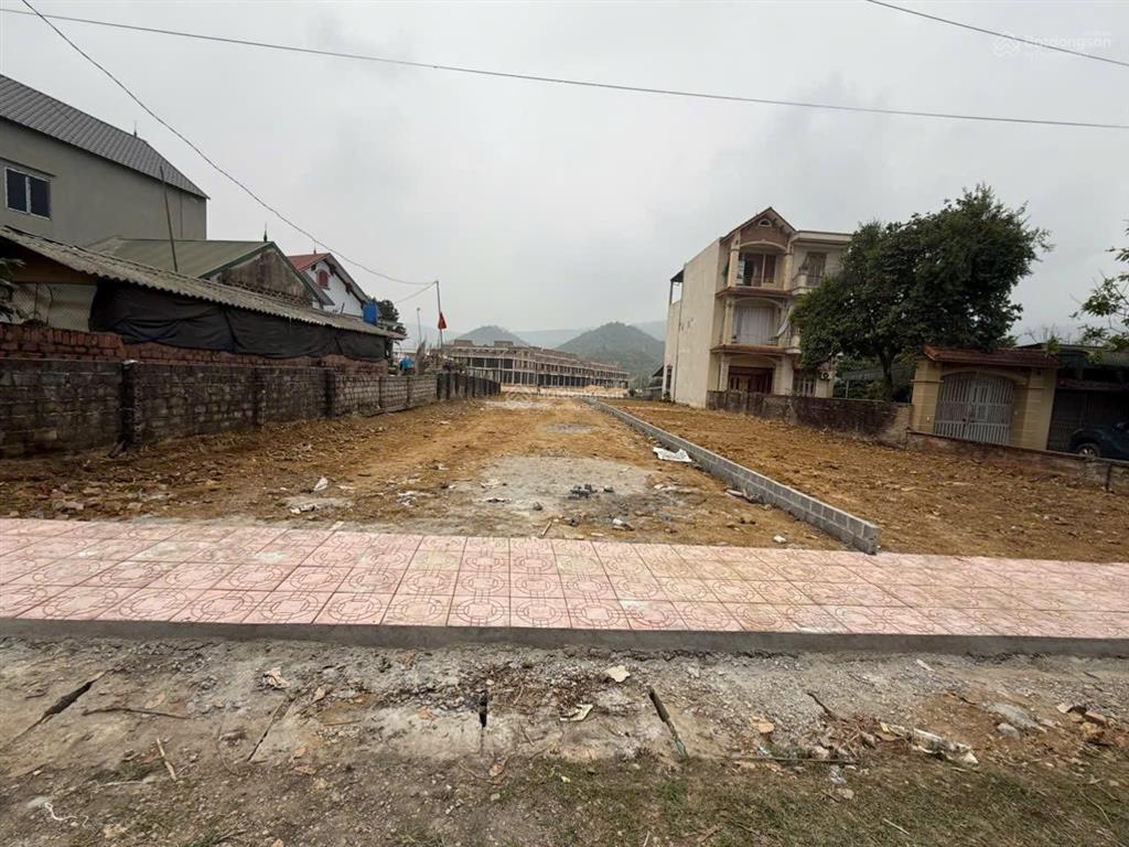 Bán đất 425m2 mặt đường 446 cơ hội đầu tư siêu tiềm năng