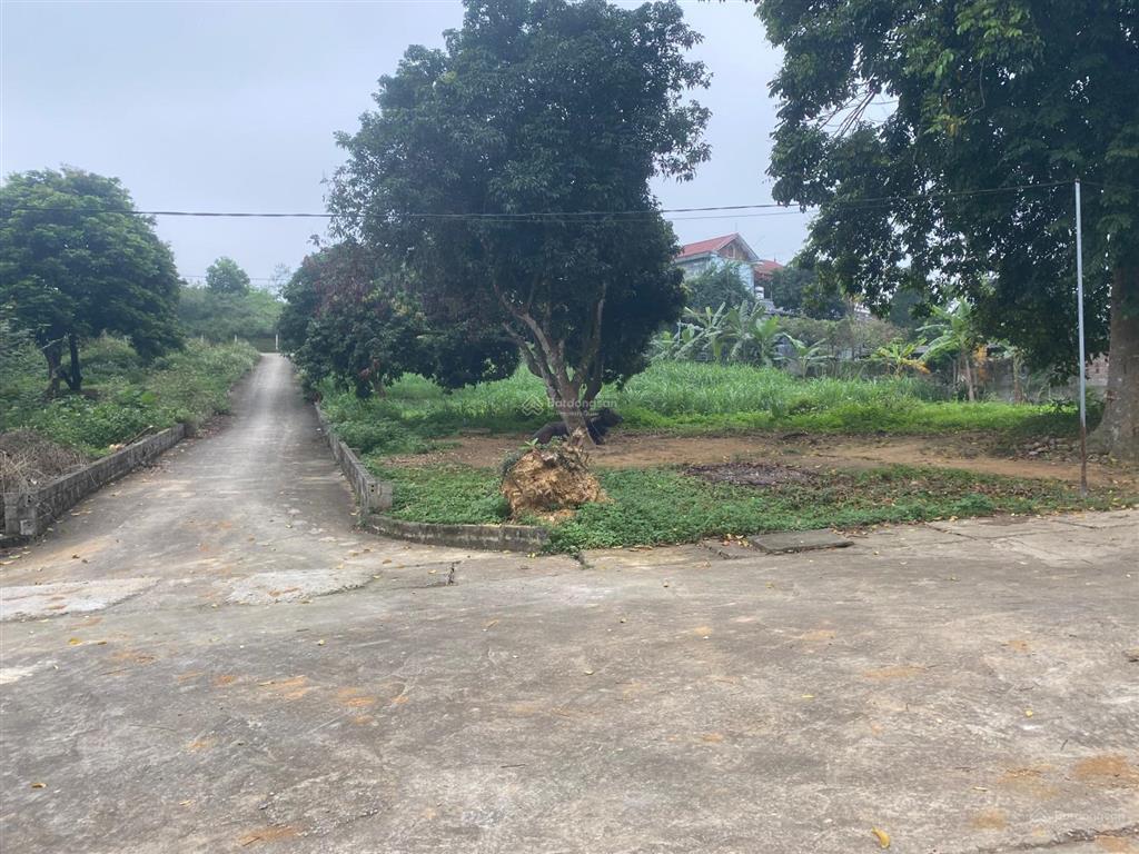Bán lô góc 535m2 tuyệt đẹp tại yên bình, thạch thất, hn