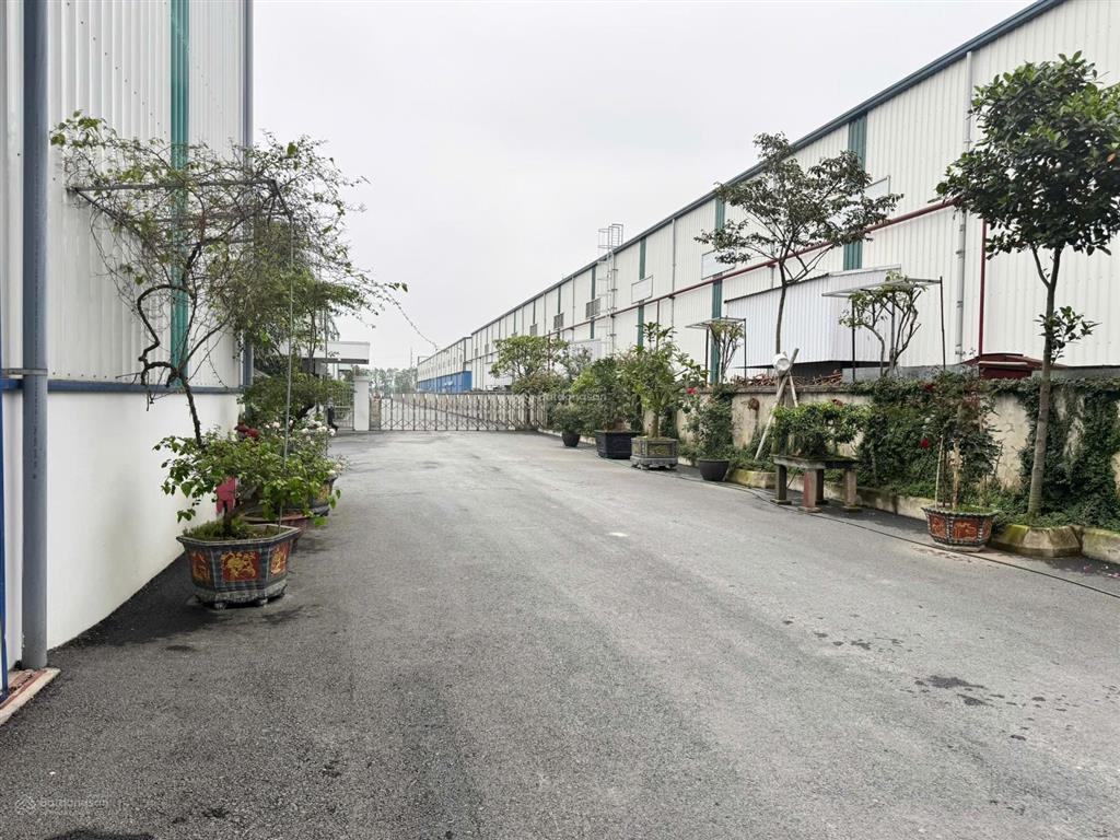 Cho thuê kho, nhà xưởng, đất tại đường đt 316, xã bắc sơn, tam nông, phú thọ, 5000m2
