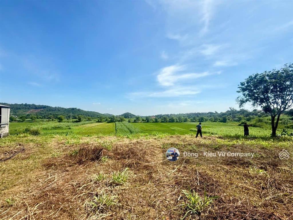 Bán đất thương mại dịch vụ  1.2 ha cạnh sân golf vân trì, đông anh  giá đầu tư