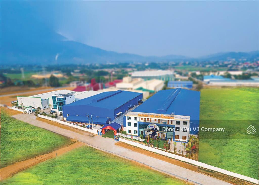 Cho thuê nhà máy sản xuất gỗ 6000m2 tại phú thọ
