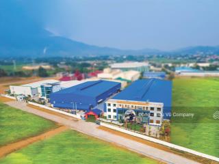 Cho thuê nhà máy sản xuất gỗ 6000m2 tại phú thọ