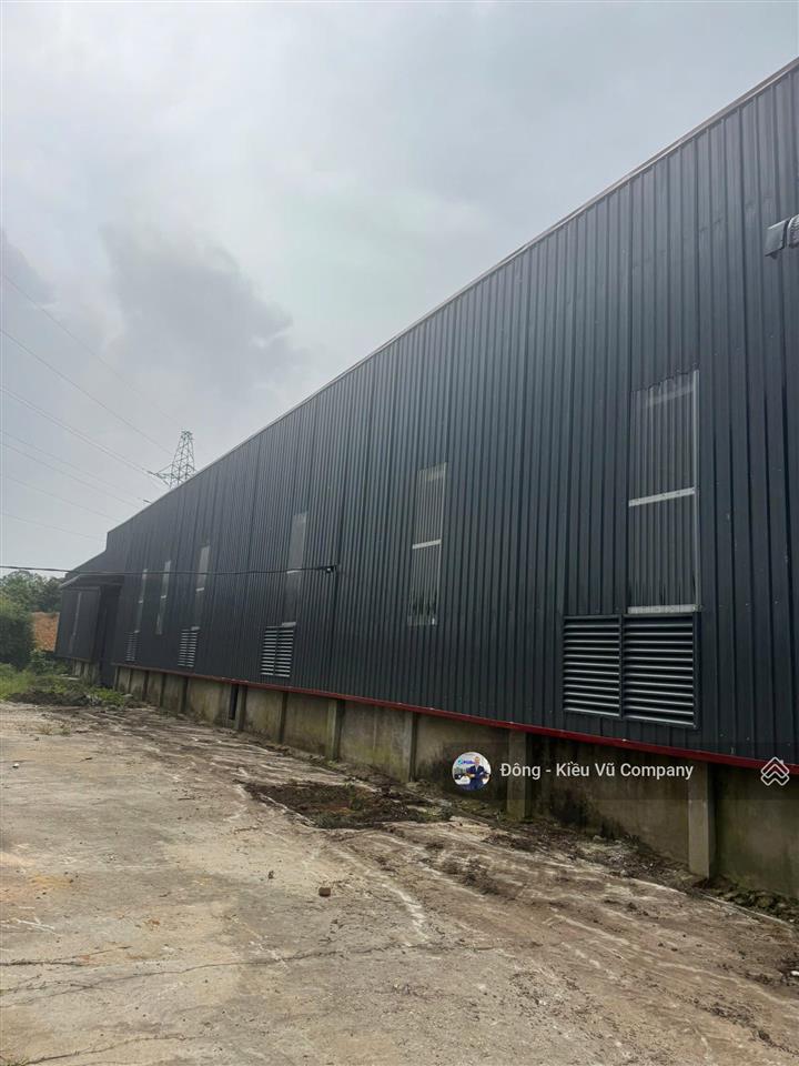 Seigroup cho thuê nhà máy 6000m2 tại thanh sơn, phú thọ, bàn giao ngay