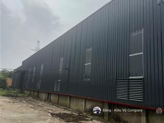 Seigroup cho thuê nhà máy 6000m2 tại thanh sơn, phú thọ, bàn giao ngay