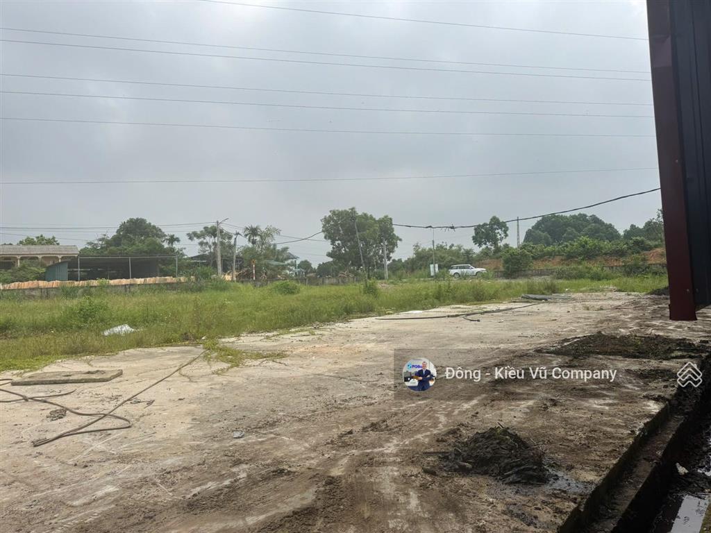Seigroup cho thuê nhà máy 6000m2 tại thanh sơn, phú thọ, bàn giao ngay