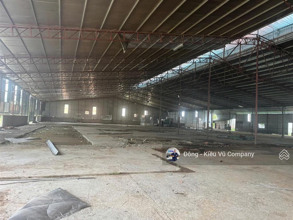 Seigroup cho thuê nhà máy 6000m2 tại thanh sơn, phú thọ, bàn giao ngay