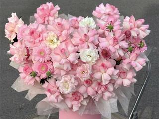 Bán đất đường 10.5m trần tử bình, hoà xuân sát ngã tư mẹ thứ giá rẻ