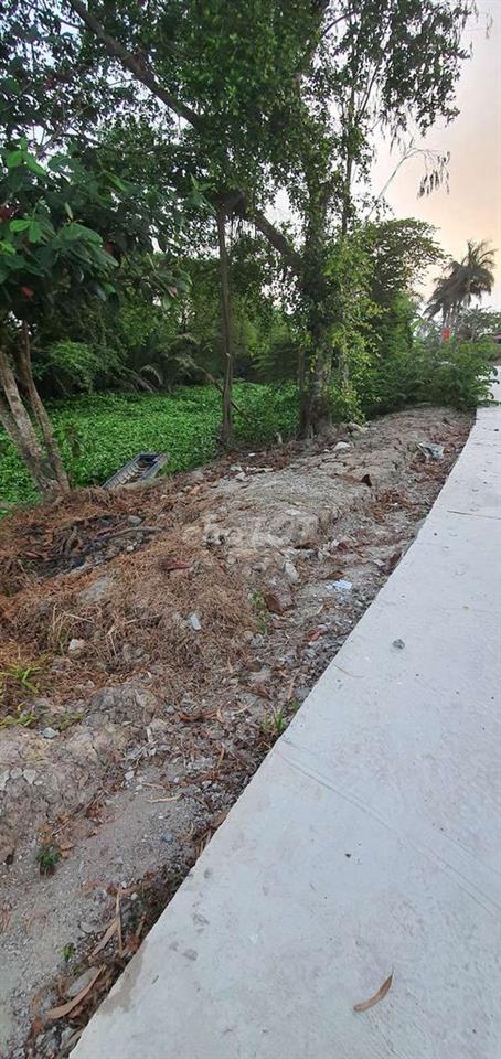 BÁN GẤP 2.685m² ĐẤT TRỒNG CÂY LÂU NĂM – Phan Văn Hớn – Giá 5.3 tỷ