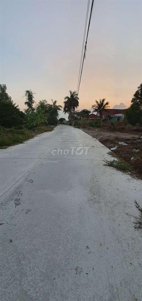 BÁN GẤP 2.685m² ĐẤT TRỒNG CÂY LÂU NĂM – Phan Văn Hớn – Giá 5.3 tỷ