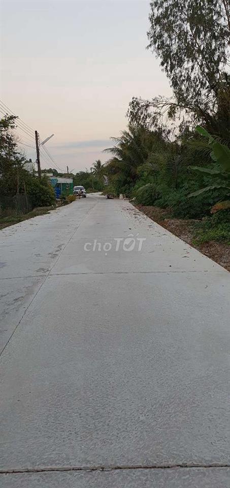 BÁN GẤP 2.685m² ĐẤT TRỒNG CÂY LÂU NĂM – Phan Văn Hớn – Giá 5.3 tỷ