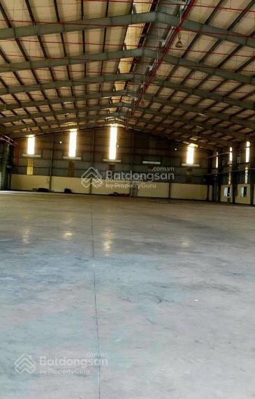 Cho thuê kho xưởng siêu vip 2.250m² đường nguyễn hữu trí, tân nhựt