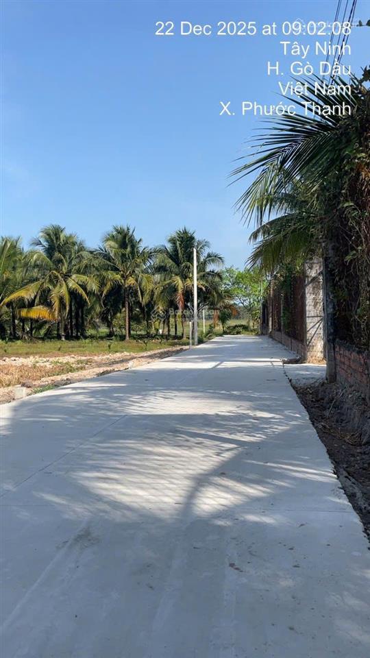 Chỉ 450 triệu là mua dc lô đất 148m2 ngay chợ phước thạnh phước hội gò dầu tây ninh.