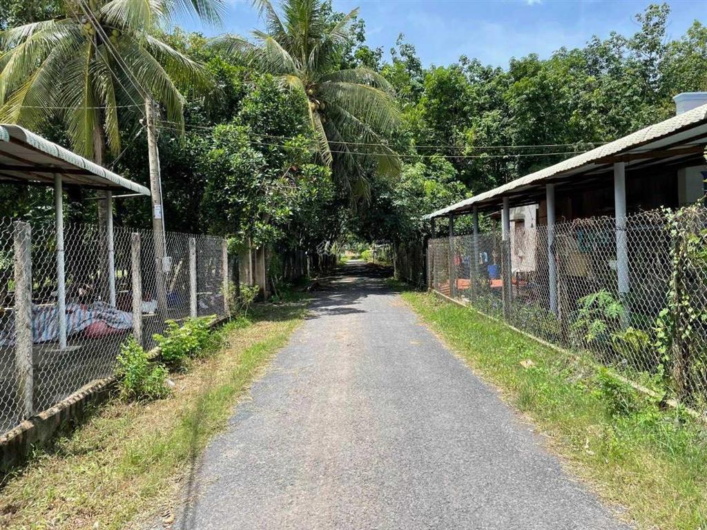 Cần bán đất siêu đẹp đường bê tông 5x30m thổ cư 40m2 hiệp thạnh  gò dầu, tn. chỉ 580 triệu