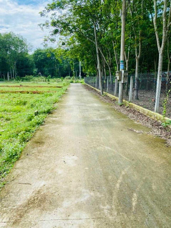 Cần bán đất siêu đẹp đường bê tông 5x30m thổ cư 40m2 hiệp thạnh  gò dầu, tn. chỉ 580 triệu