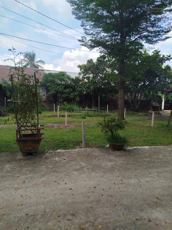 Bán đất thổ cư hóc môn  cách đường đỗ văn dậy 60m, chợ hóc môn 600m  ngang 6m nở hậu