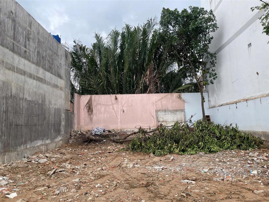 Bán đất biệt thự, đường số 75, kdc tân quy đông, tân hưng