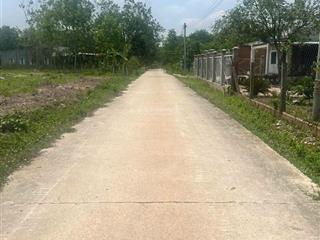 Bán 2.15 héc đất dầu tiếng có 165m mặt đường, có 300m2 thổ cư và vườn măng nhà cấp 4