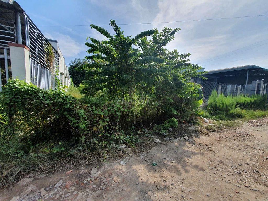 Bán đất xã Bàu Năng, Huyện Dương Minh Châu, Tây Ninh giá rẻ