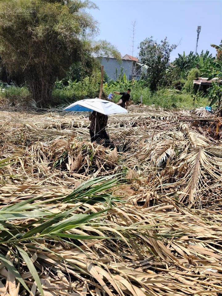 Bán 1000m2 đất trồng lúa tại đường nguyễn hữu lầu  phước kiển nhà bè