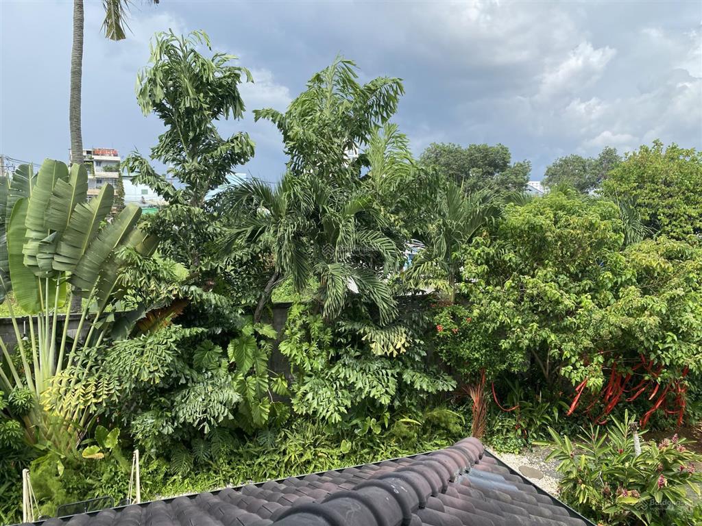 Bán villa 800m2 có hồ bơi style bali  gần sông sài gòn view nhìn về đảo bình quới