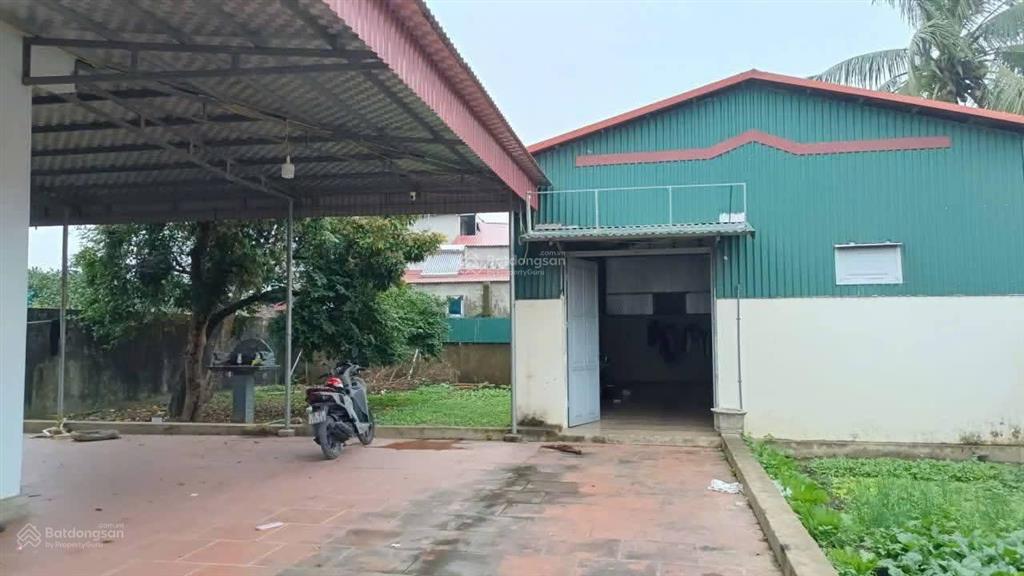 Bán nhà riêng tại xã hoằng hà, huyện hoằng hóa, thanh hóa, giá cực chất 1,35 tỷ, 483m2