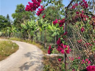 Bán đất full thổ cư, khu dân cư, gần cổng chào bầu trâm phường long khánh