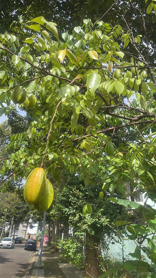 Bán đất thổ cư khu tái định cư suối chồn, long khánh, đồng nai