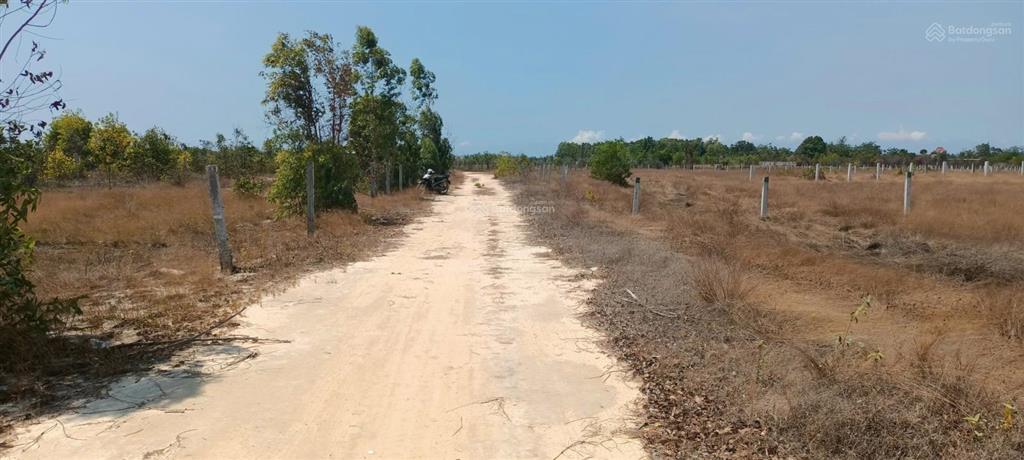 Bán đất tại hùng vương, tân bình, thị xã la gi, 1,5 tỷ, 1009 m2 đẹp, nhiều tiện ích