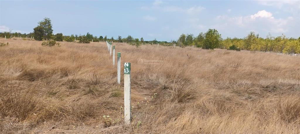 Bán đất tại hùng vương, tân bình, thị xã la gi, 1,5 tỷ, 1009 m2 đẹp, nhiều tiện ích