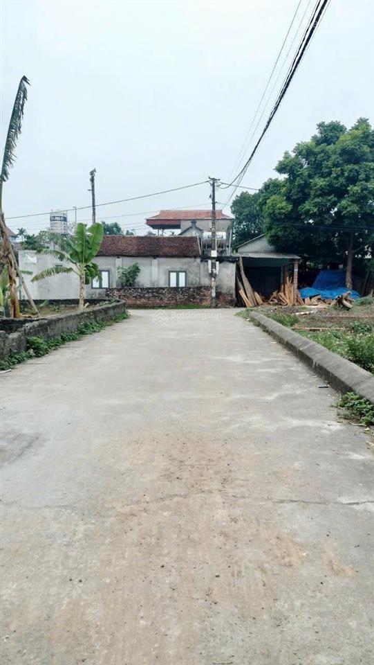 Chính chủ cần tiền bán mảnh đất thôn 7  tân xã  giá giảm 10 giá so với thị trường hiện tại