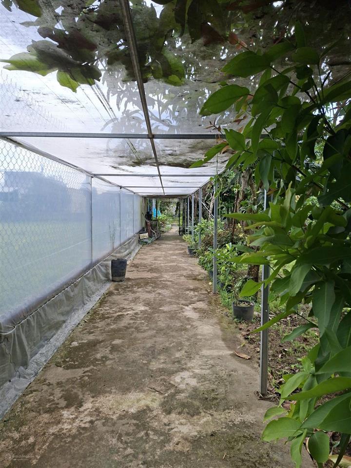 Bán đất 1387m2 tại trần phú, điện hòa, điện bàn, 20 tỷ