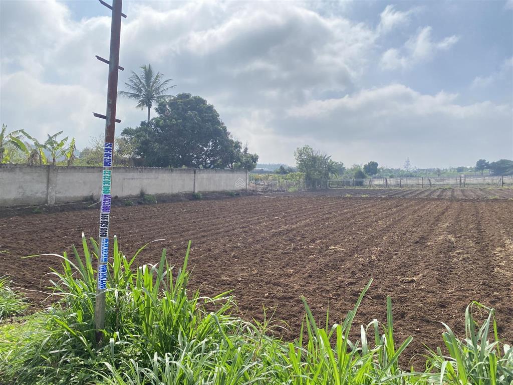 Bán lô đất thổ cư cách mt đường đt 724 chỉ 400m, diện tích 5x37m, giá 890 tr