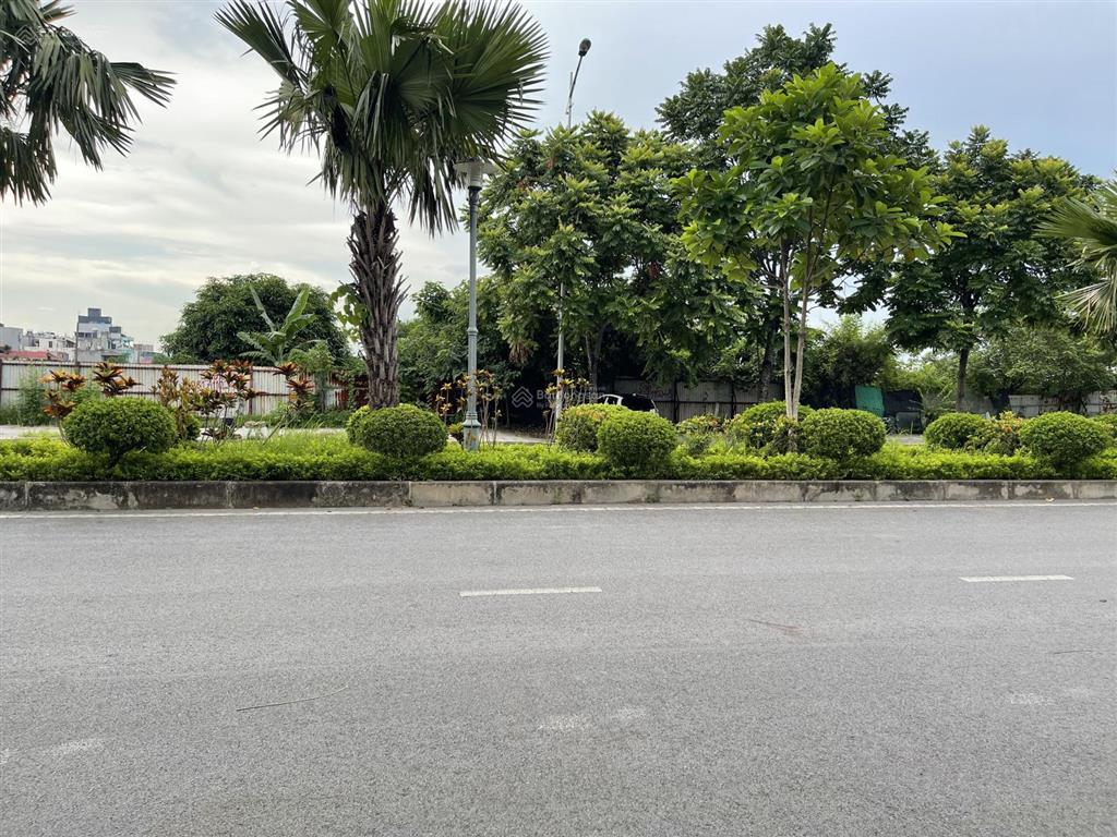 Bán shophouse tại xuân phương tasco, 90m², giá chỉ 24 tỷ