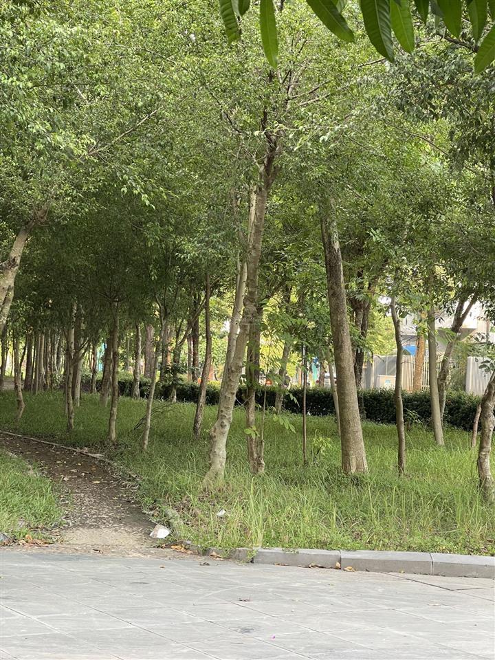 Chính chủ bán gấp căn góc view công viên dự án tasco xuân phương 151m giá chỉ 30 tỷ