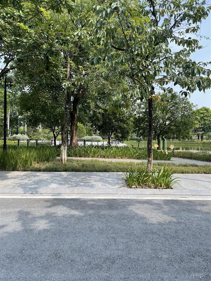 Chính chủ bán cắt lỗ bt song lập 133m dự án an lạc green symphony giá chỉ 24 tỷ!