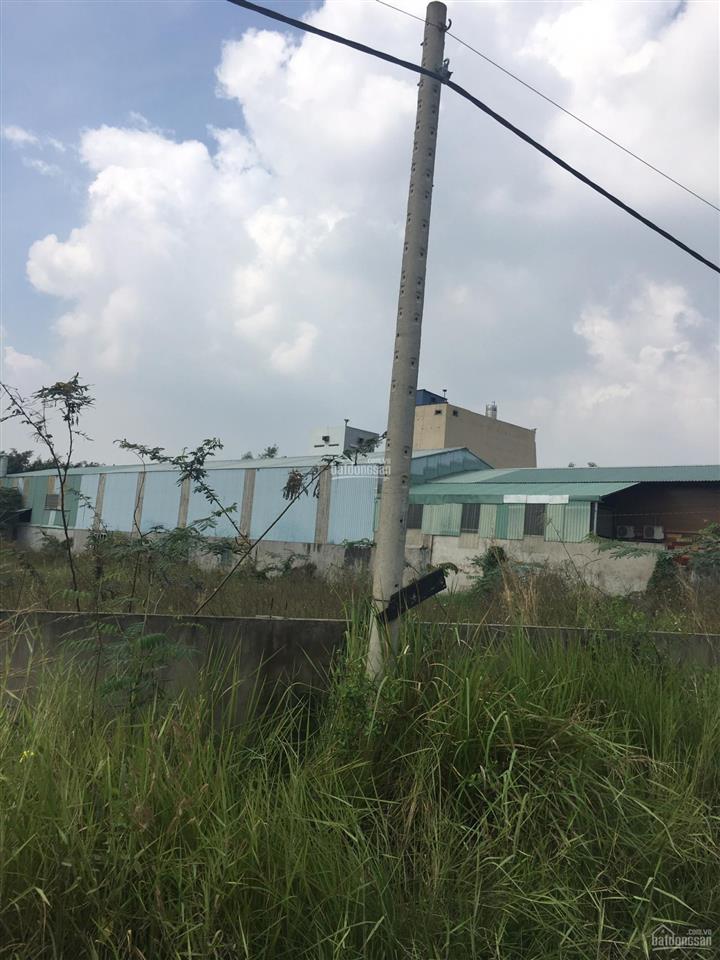 Nhà xưởng (1.000 m2 thổ cư), mặt đường bưng ông thoàn, quận 9 (sát bên công nghệ cao quận 9)